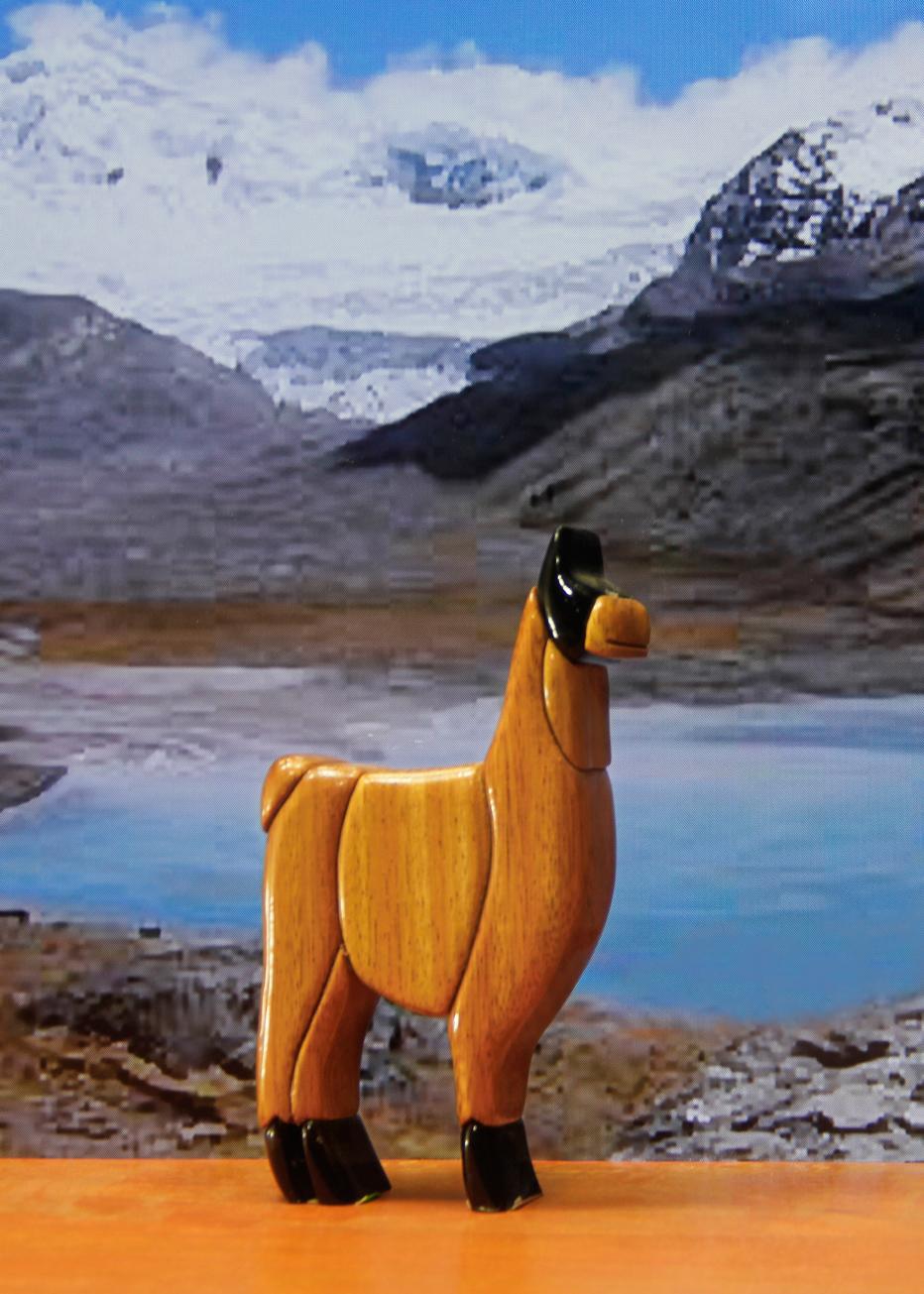 Stylized Llama